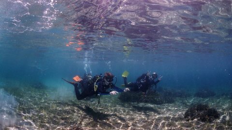 Athos ouranoypoli Scuba Diving Center chalkidiki καταδυσεις greece.jpg9