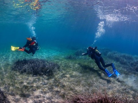 Athos ouranoypoli Scuba Diving Center chalkidiki καταδυσεις greece.jpg2