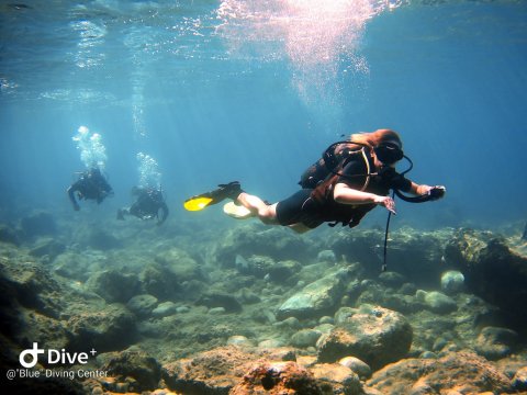 blue kassandra diving center chalkidiki καταδυσεις dive greece.jpg12