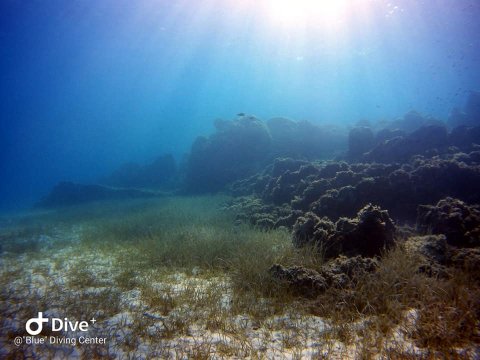 blue kassandra diving center chalkidiki καταδυσεις dive greece.jpg11