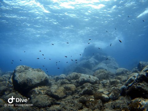 blue kassandra diving center chalkidiki καταδυσεις dive greece.jpg9