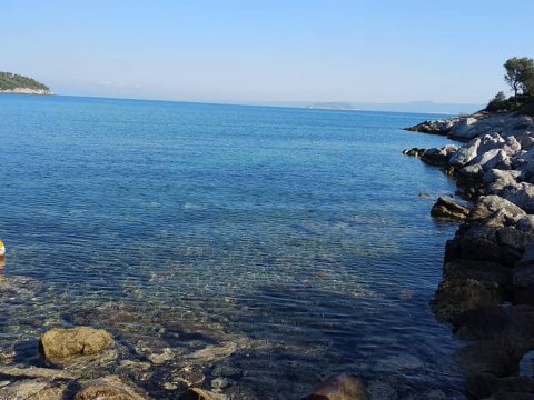 blue kassandra diving center chalkidiki καταδυσεις dive greece.jpg8