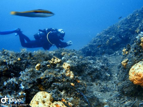 blue kassandra diving center chalkidiki καταδυσεις dive greece.jpg7