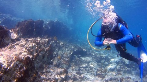 blue kassandra diving center chalkidiki καταδυσεις dive greece.jpg6