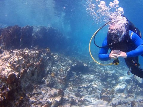 blue kassandra diving center chalkidiki καταδυσεις dive greece.jpg6
