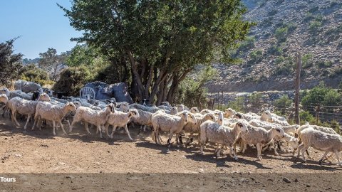 chania 4x4 jeep safari tours greece Shepherd's Hut Lefka Ori Mountain.jpg3
