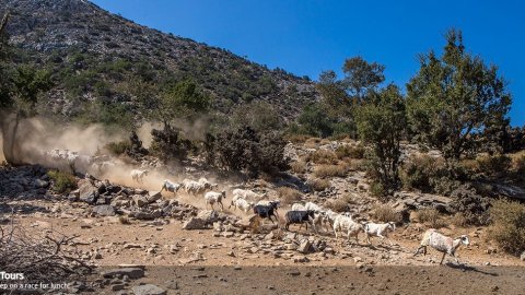 Safari 4x4 Lefka Ori Mountain:Chania