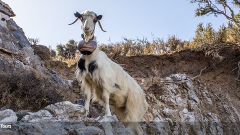 4χ4 Tour jeep safar Samaria Gorge-Kallergis Refuge greece chania.jpg12