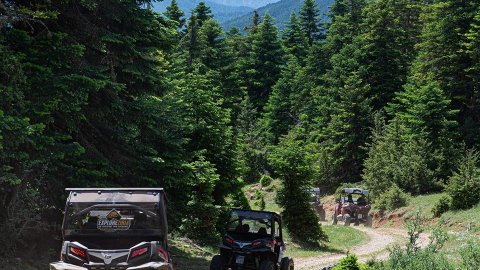 Buggy-ATV (Γουρούνες)Tour δάσος Ζήρειας