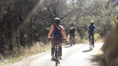 Mountain Biking Corfu Classic Tour 