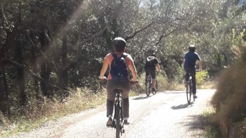 mountain bike corfu geo bicycling greece κερκυρα ποδηλασια.jpg11