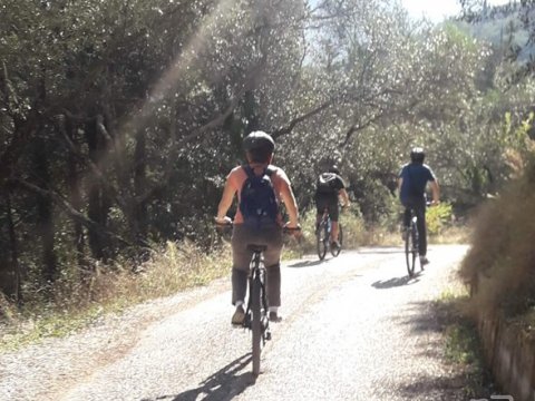 mountain bike corfu geo bicycling greece κερκυρα ποδηλασια.jpg11