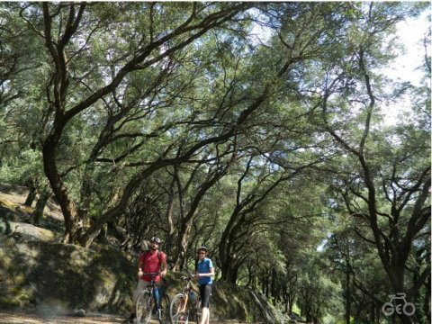 mountain bike corfu geo bicycling greece κερκυρα ποδηλασια.jpg10