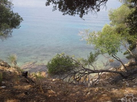 hiking corfu πεζοπορια κερκυρα geo greece.jpg4