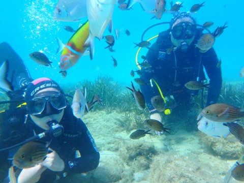 Discover Scuba Diving Blue Fin Greece Naxos Divers Καταδυσεις.jpg9