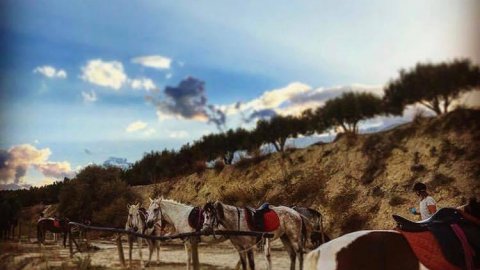 Ιππασία στα βουνά κοντά Ηράκλειο Κρήτη