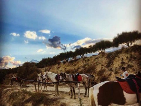 Horse Riding Sea Hraklion hersonissos ιππασια greece finikia.jpg5