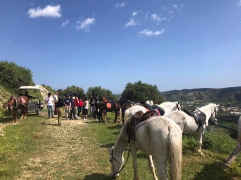 Horse Riding tour Finikia, Hraklion hersonissos ιππασια greece crete.jpg6