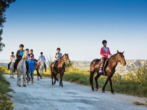 Horse Riding tour Finikia, Hraklion hersonissos ιππασια greece crete.jpg5