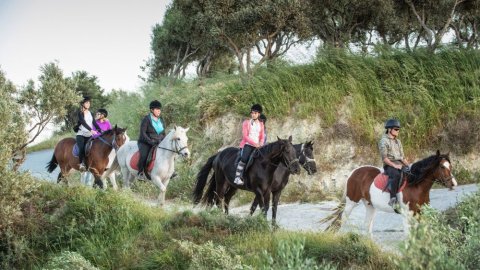 Horse Riding Moonlight Tour Finikia, Hraklion Crete