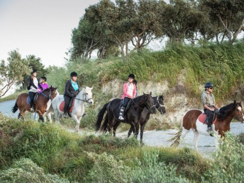 Horse Riding tour Finikia, Hraklion hersonissos ιππασια greece crete