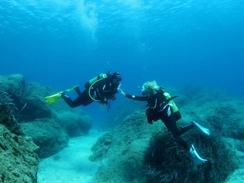 sea greece diving world καταδυσεις  kos center.jpg8