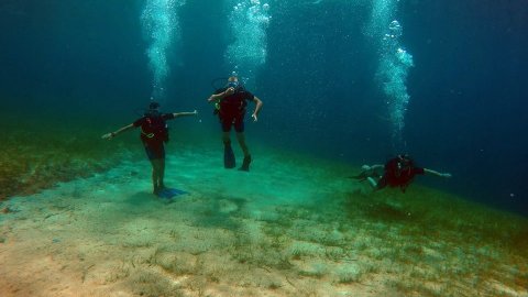 Ανακάλυψε την Κατάδυση Χαλκιδική Σιθωνία