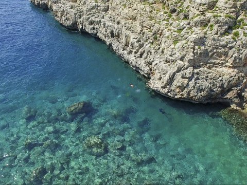 Discover Scuba Diving Almyrida omega καταδυσεις Chania Greece.jpg6
