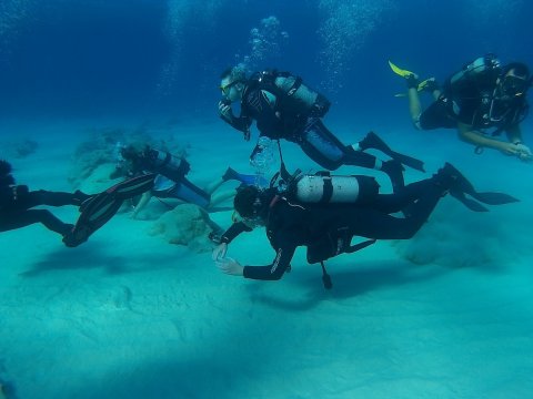 Discover Scuba Diving Almyrida omega καταδυσεις Chania Greece