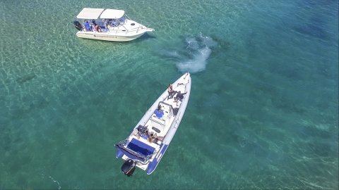 Boat Trip Guided Snorkeling Chania greece.jpg4