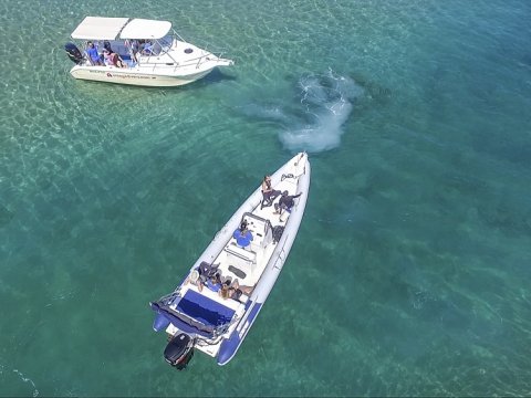 Boat Trip Guided Snorkeling Chania greece.jpg4