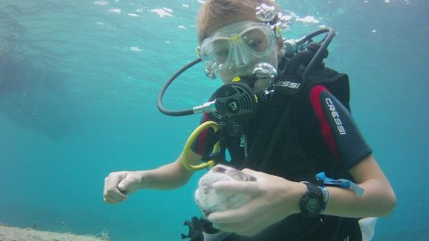 Scuba Diving Paxoi καταδυσεις Paxos center Greece oasi.jpg11