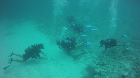 Scuba Diving Paxoi καταδυσεις Paxos center Greece oasi.jpg10