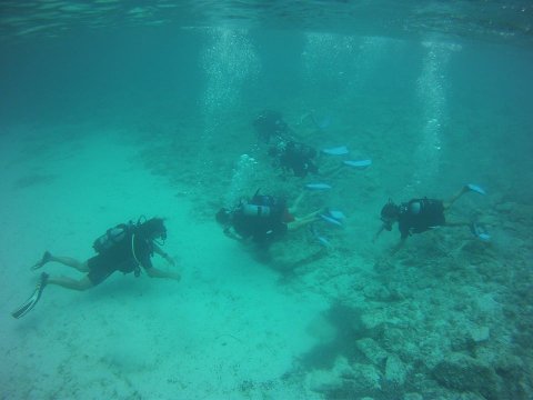Scuba Diving Paxoi καταδυσεις Paxos center Greece oasi.jpg10