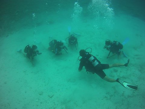 Scuba Diving Paxoi καταδυσεις Paxos center Greece oasi.jpg9