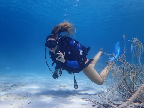 Scuba Diving Paxoi καταδυσεις Paxos center Greece oasi.jpg2