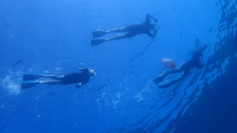 Snorkeling Paxoi Greece Paxos.jpg6