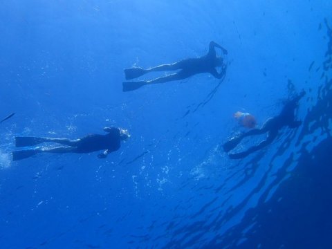 Snorkeling Paxoi Greece Paxos.jpg6