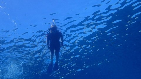 Snorkeling Paxoi Greece Paxos.jpg5
