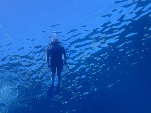 Snorkeling Paxoi Greece Paxos.jpg5