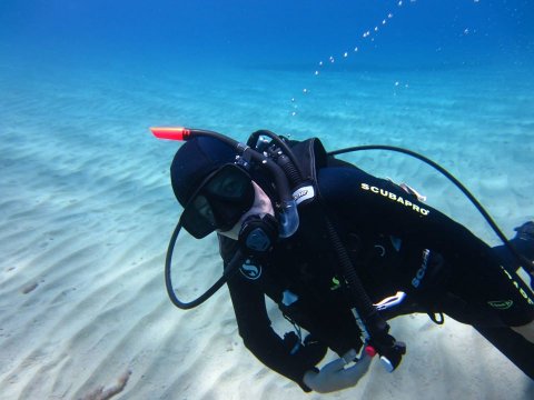 Scuba Diving sea greece u καταδυσεις Folegandros.jpg10