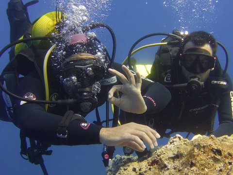 Scuba Diving sea greece u καταδυσεις Folegandros.jpg12