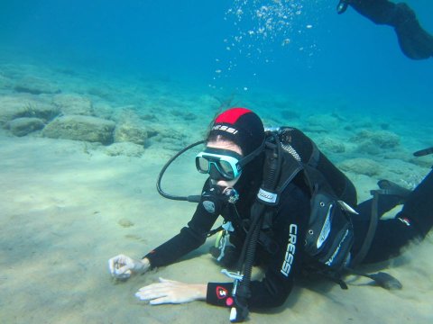 Scuba Diving sea greece u καταδυσεις Folegandros.jpg3