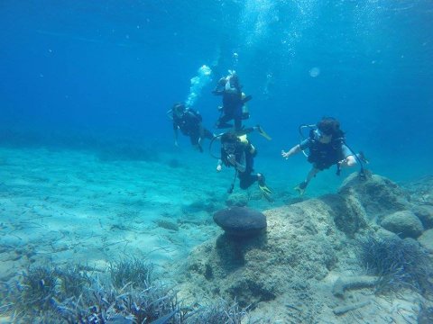 Scuba Dive Paros Diving καταδυσεις center Greece.jpg12