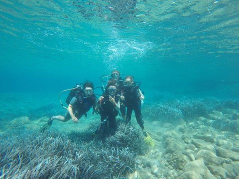 Scuba Dive Paros Diving καταδυσεις center Greece.jpg10