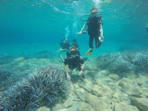 Scuba Dive Paros Diving καταδυσεις center Greece.jpg9