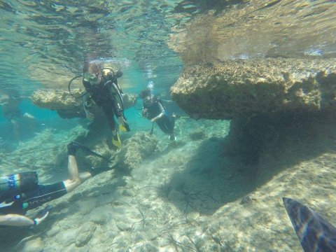 Scuba Dive Paros Diving καταδυσεις center Greece.jpg8