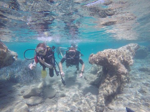 Scuba Dive Paros Diving καταδυσεις center Greece.jpg7