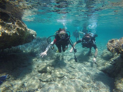 Scuba Dive Paros Diving καταδυσεις center Greece.jpg6