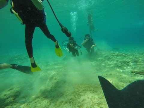 Scuba Dive Paros Diving καταδυσεις center Greece.jpg5